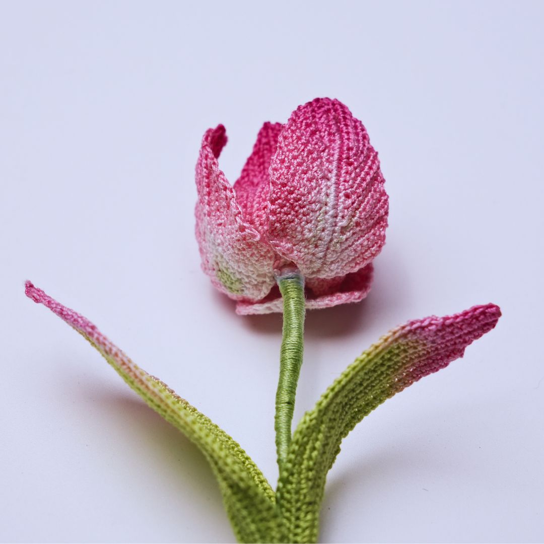 Crochet Tulip
