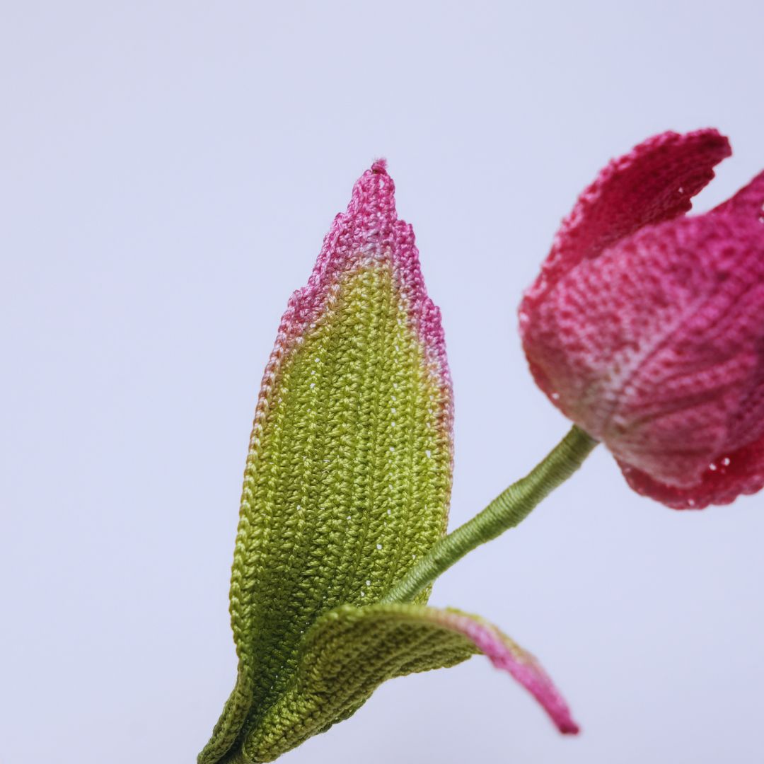 Crochet Tulip