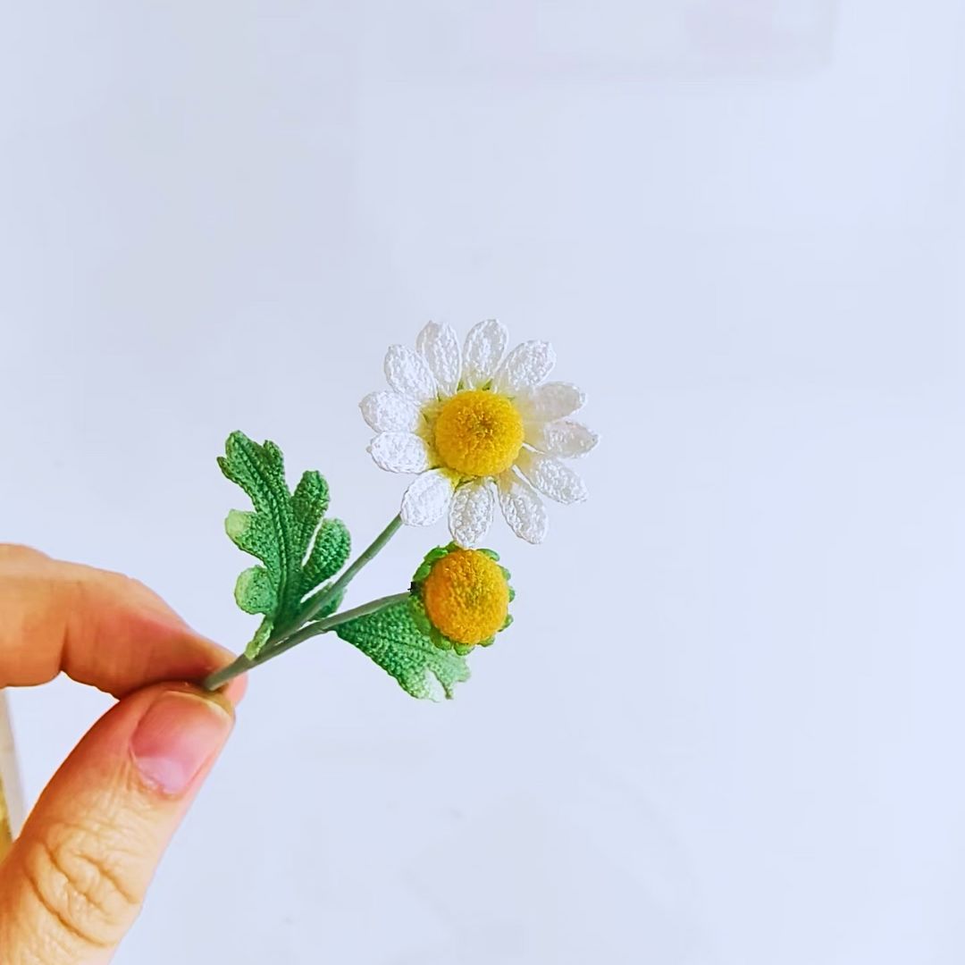 Crochet Chamomile