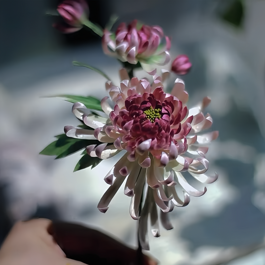 Blush pink beauty 🌷 A velvet flower hairpin