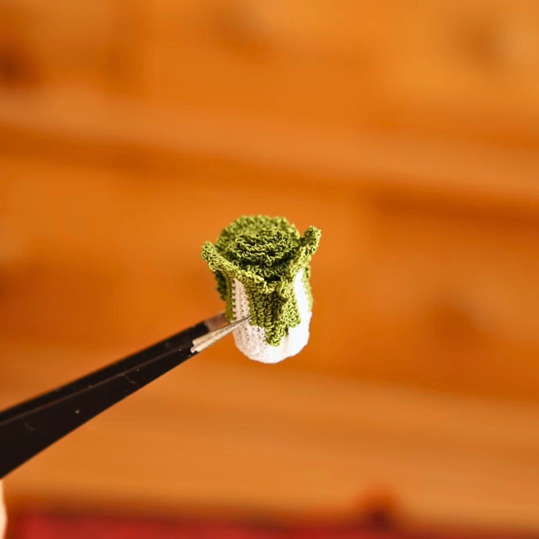 Crochet Scallion & Cabbage